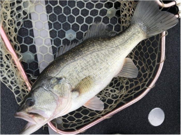 truth  ブログ写真 2020/02/23