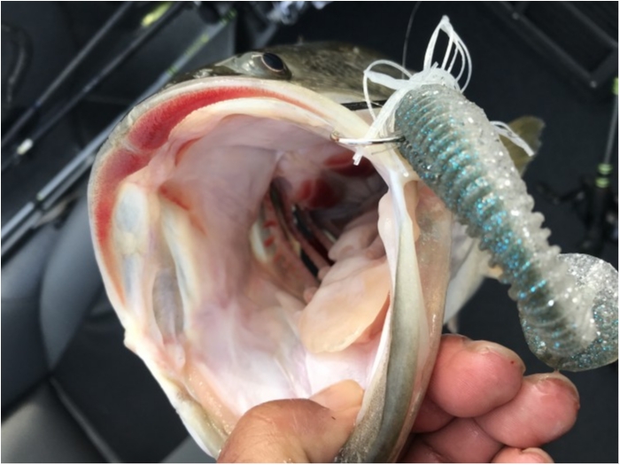 truth  ブログ写真 2020/02/23