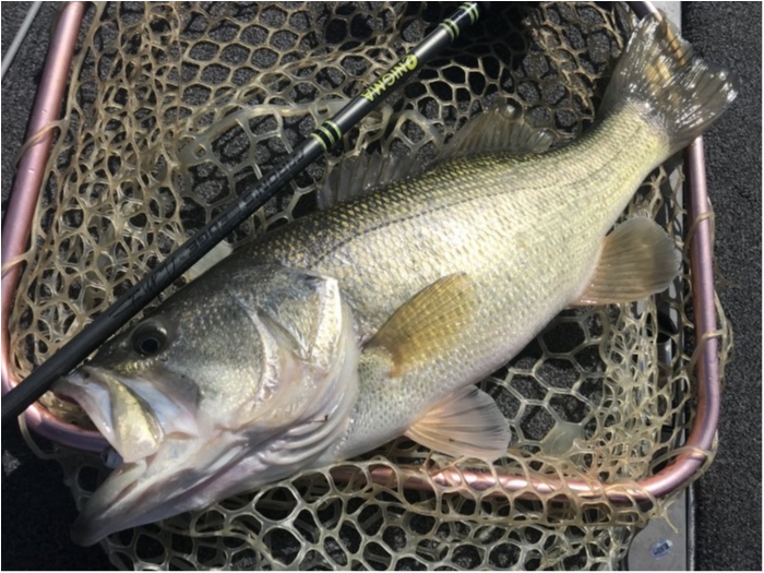 truth  ブログ写真 2020/02/24