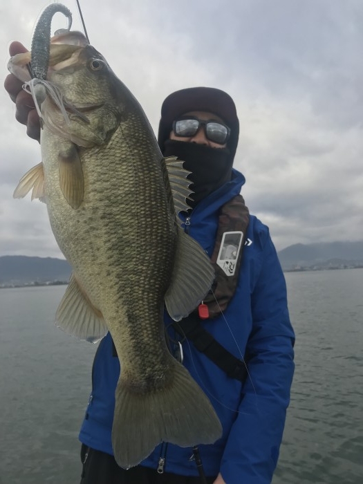 truth  ブログ写真 2020/02/26