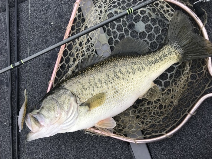 truth  ブログ写真 2020/02/26