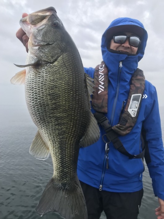 truth  ブログ写真 2020/03/04