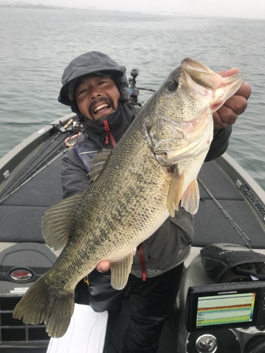 truth  ブログ写真 2020/03/04