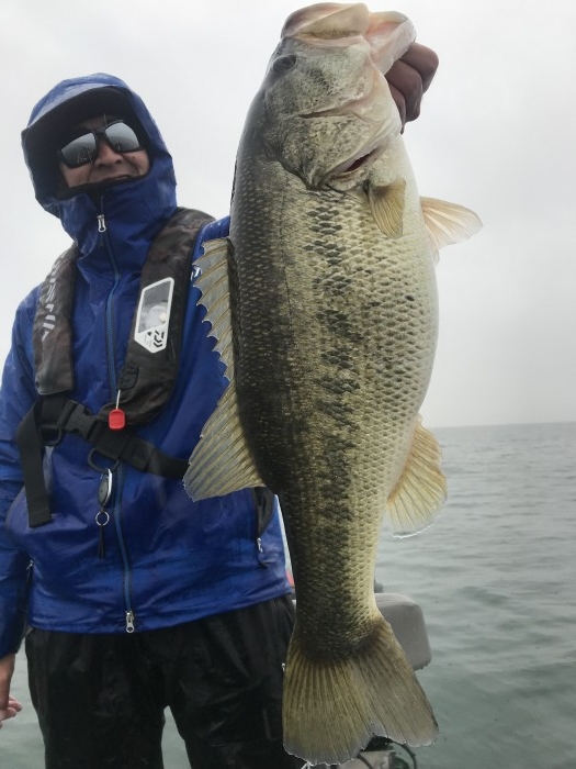 truth  ブログ写真 2020/03/04