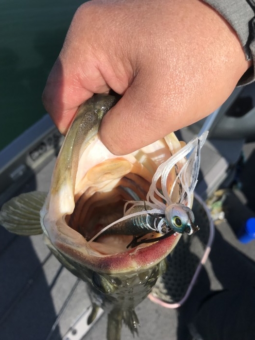 truth  ブログ写真 2020/03/08