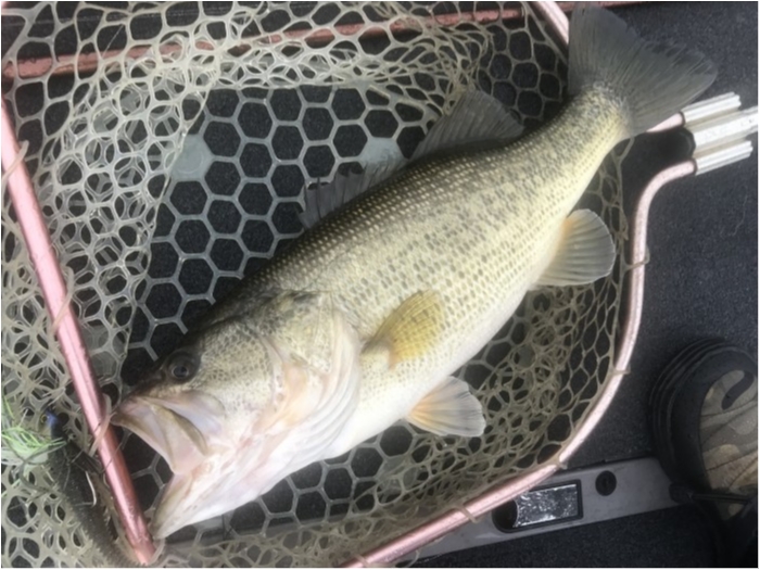 truth  ブログ写真 2020/03/10