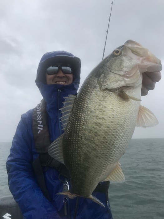 truth  ブログ写真 2020/03/10