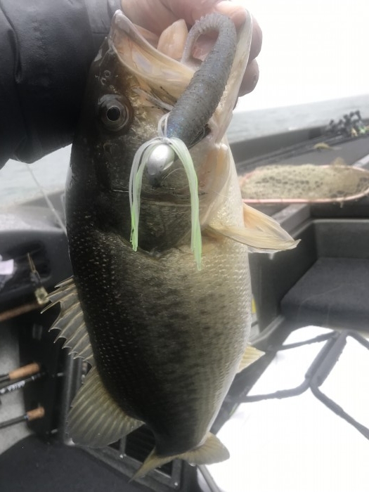 truth  ブログ写真 2020/03/10