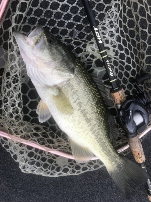 truth  ブログ写真 2020/03/10