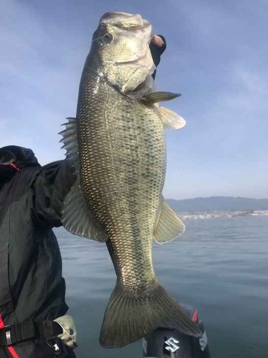 truth  ブログ写真 2020/03/13