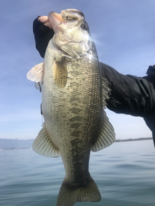 truth  ブログ写真 2020/03/13