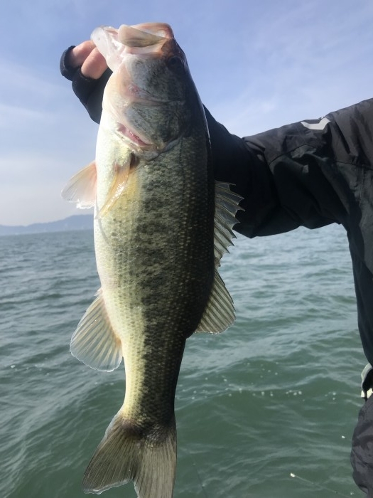 truth  ブログ写真 2020/03/13