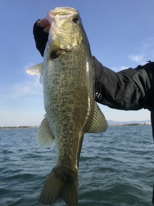 truth  ブログ写真 2020/03/13