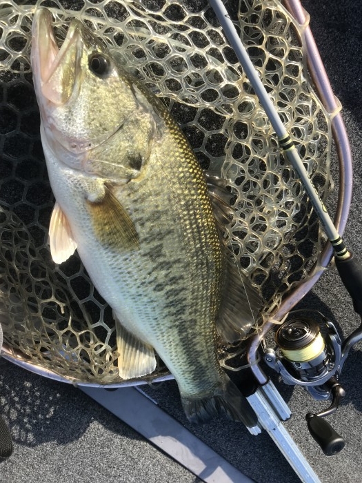 truth  ブログ写真 2020/03/13