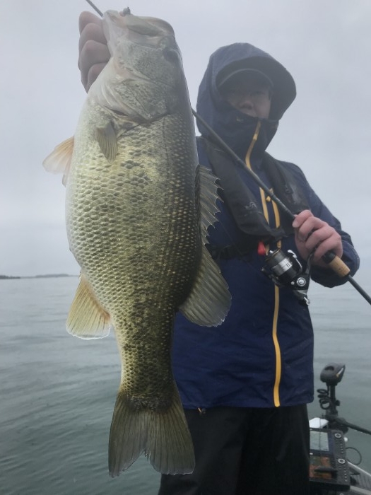 truth  ブログ写真 2020/03/14