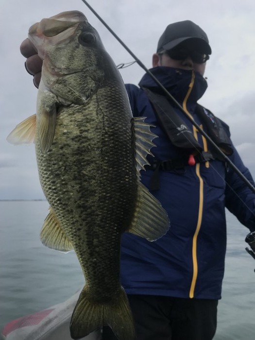 truth  ブログ写真 2020/03/14