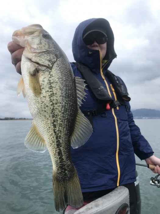 truth  ブログ写真 2020/03/14