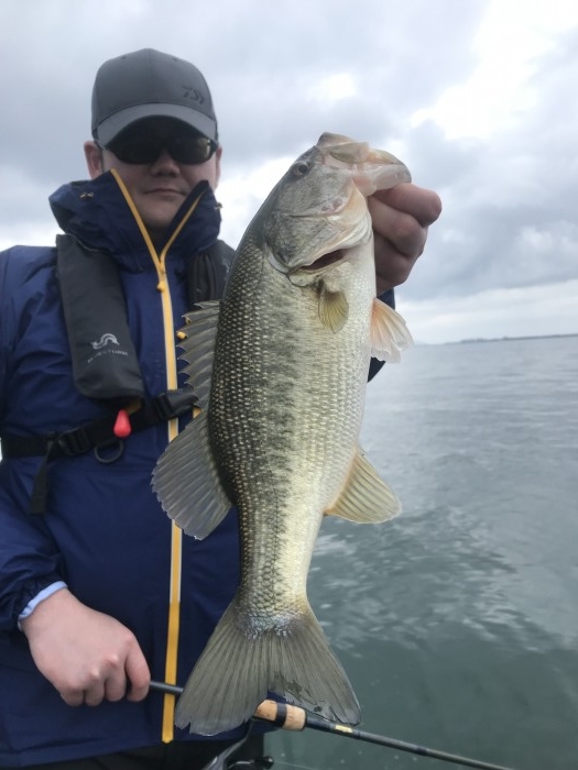 truth  ブログ写真 2020/03/14