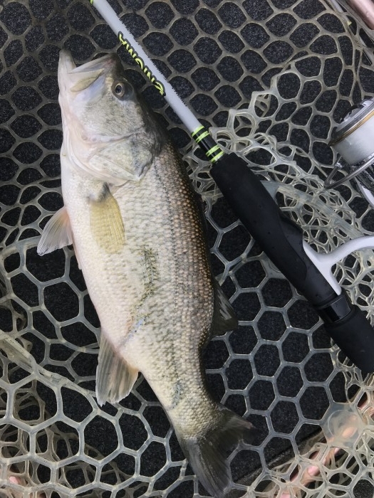 truth  ブログ写真 2020/03/14