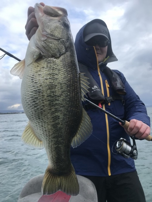 truth  ブログ写真 2020/03/14