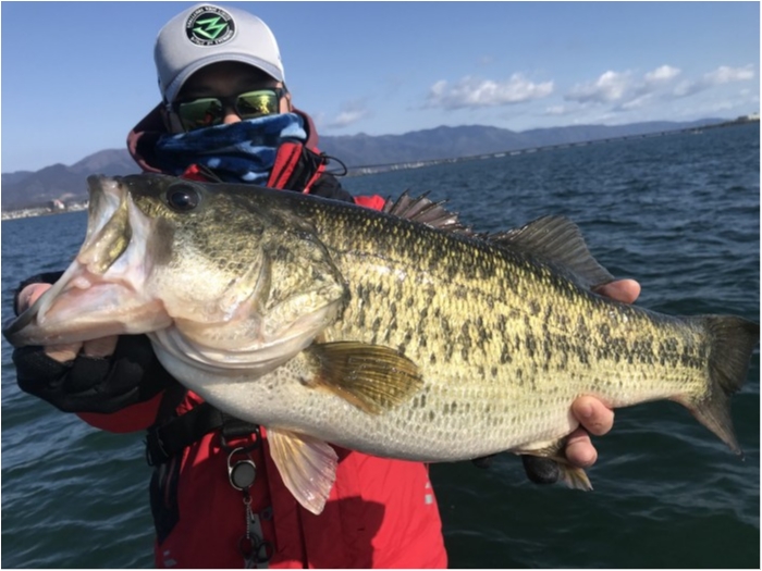 truth  ブログ写真 2020/03/15