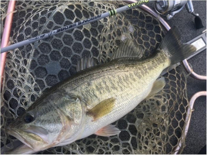 truth  ブログ写真 2020/03/15