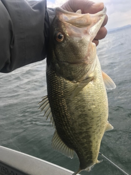 truth  ブログ写真 2020/03/15