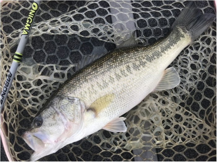 truth  ブログ写真 2020/03/15