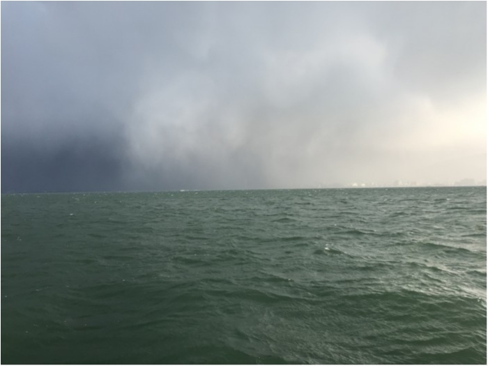 truth  ブログ写真 2020/03/15