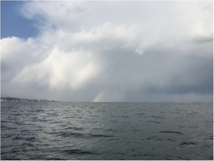 truth  ブログ写真 2020/03/15