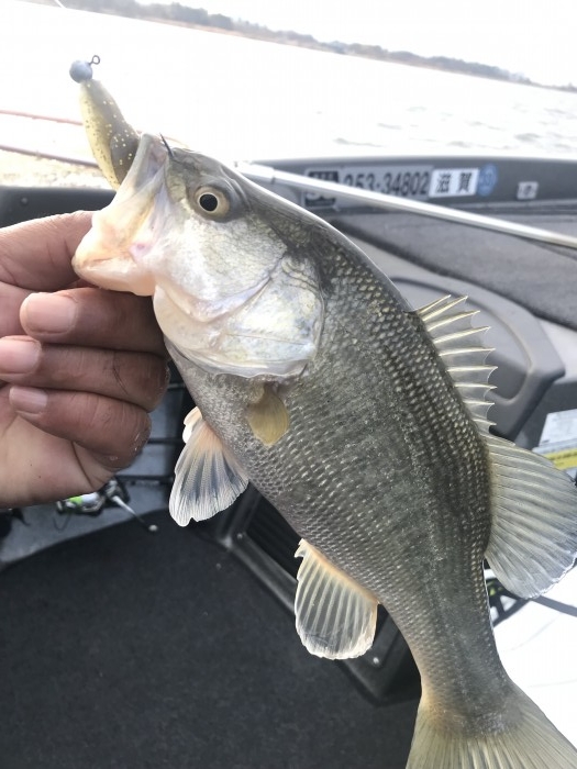 truth  ブログ写真 2020/03/18