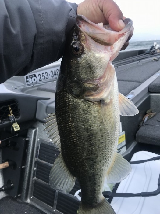 truth  ブログ写真 2020/03/18