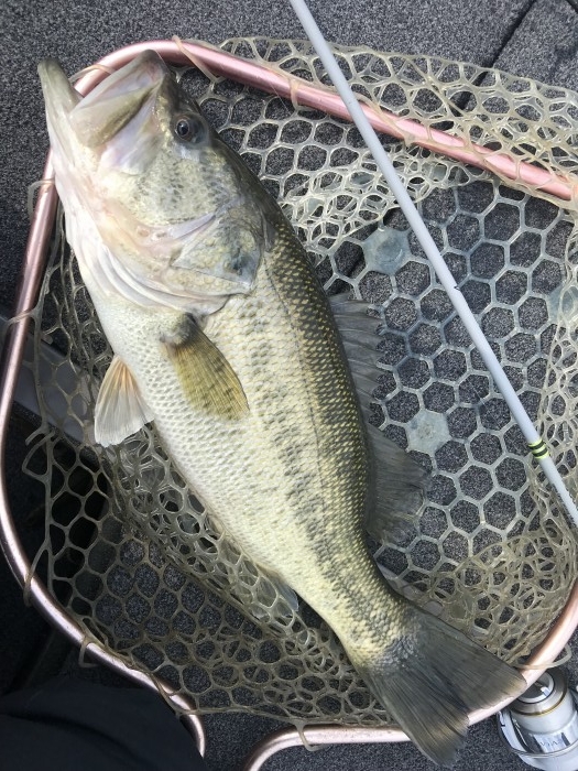 truth  ブログ写真 2020/03/18