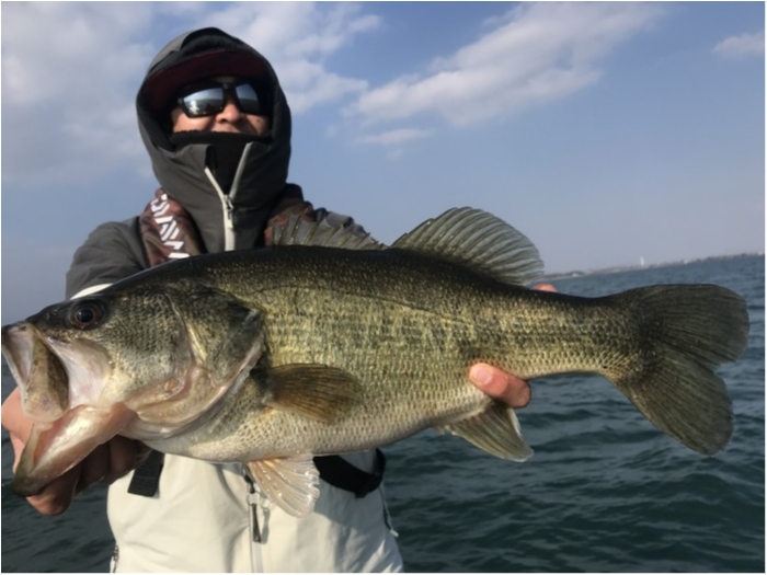 truth  ブログ写真 2020/03/18