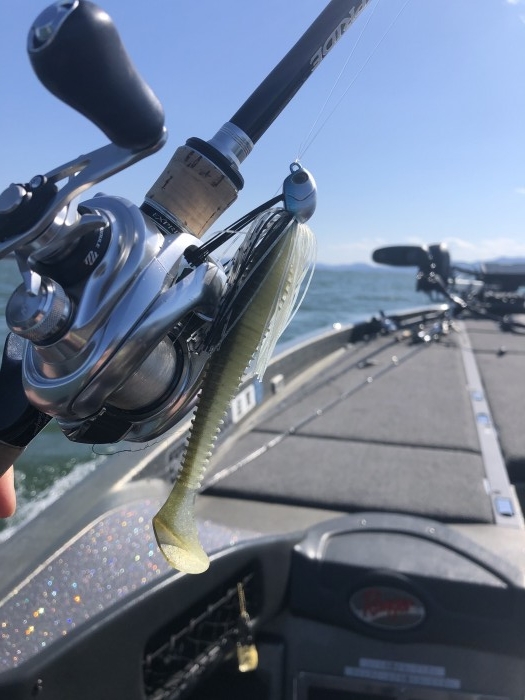 truth  ブログ写真 2020/03/24