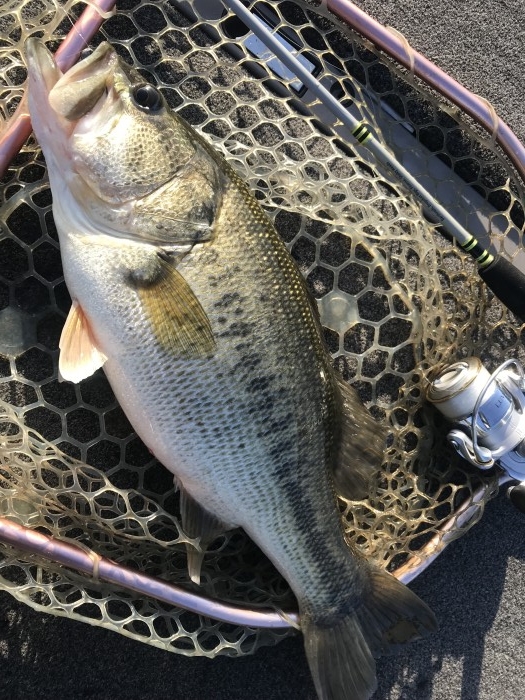 truth  ブログ写真 2020/03/25