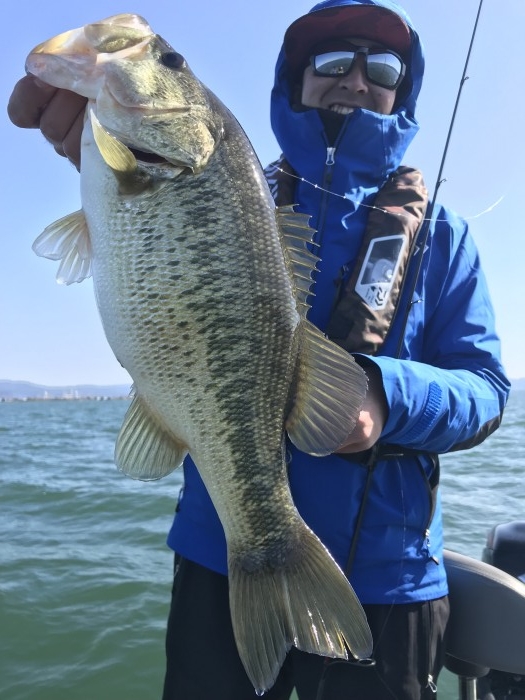 truth  ブログ写真 2020/03/25