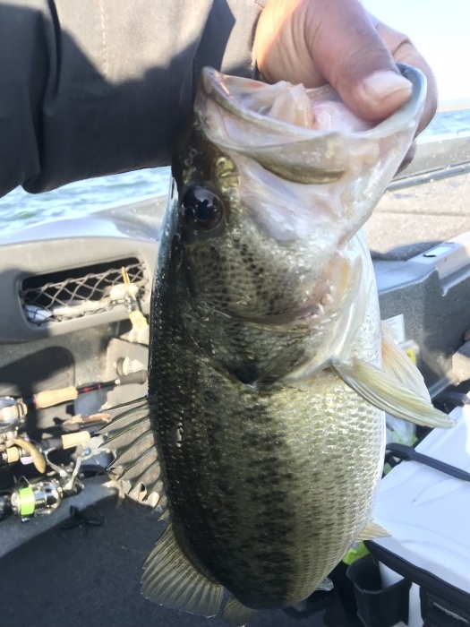 truth  ブログ写真 2020/03/25