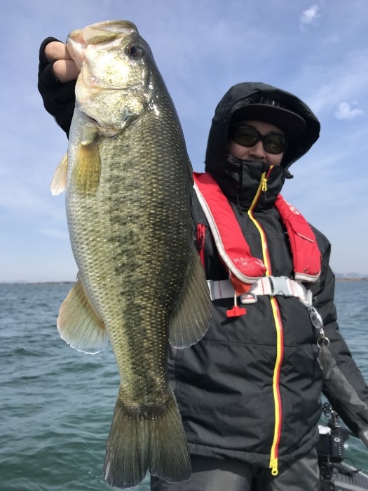 truth  ブログ写真 2020/03/26