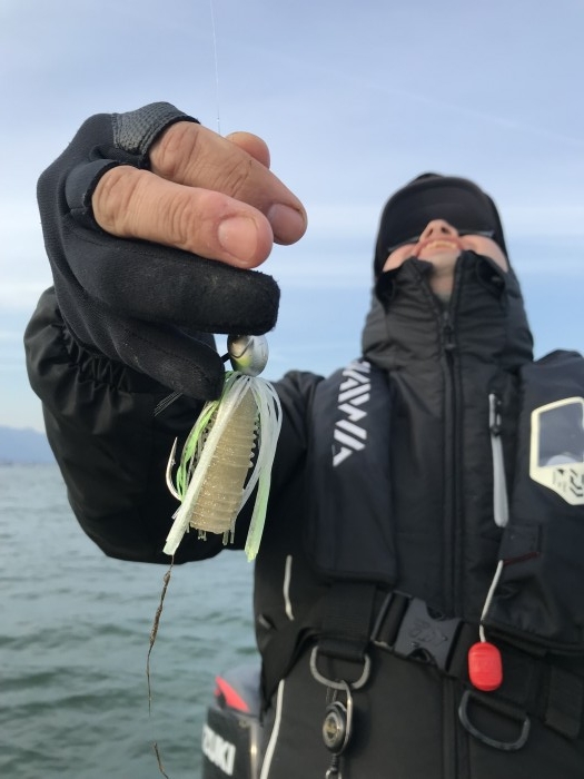 truth  ブログ写真 2020/03/26