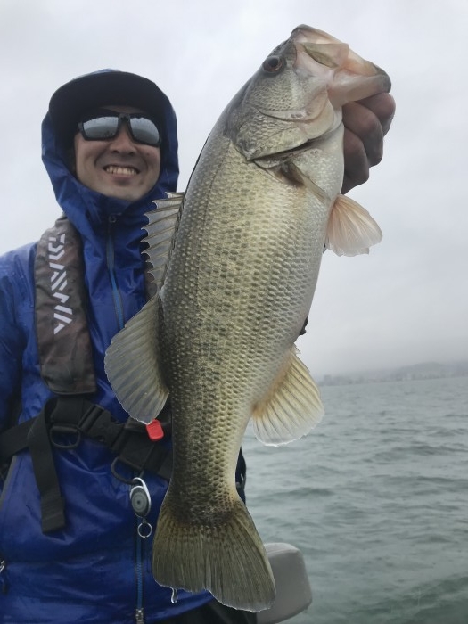 truth  ブログ写真 2020/04/01