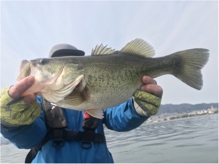 truth  ブログ写真 2020/04/04