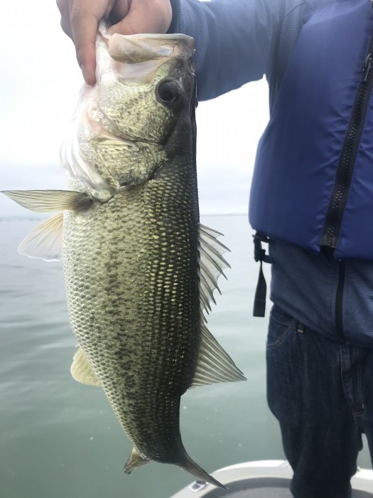 truth  ブログ写真 2020/05/18