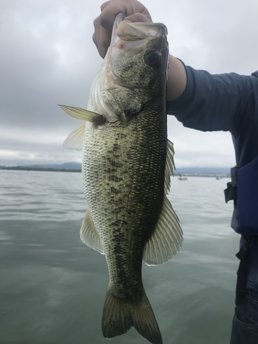 truth  ブログ写真 2020/05/18