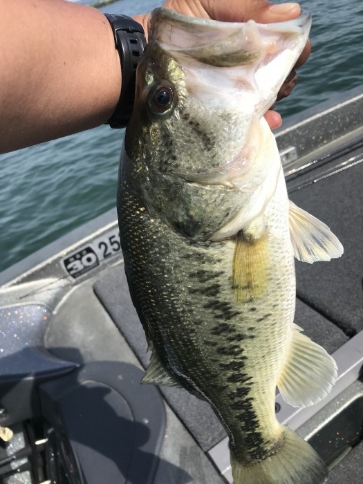 truth  ブログ写真 2020/05/18