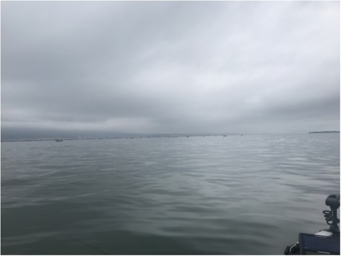 truth  ブログ写真 2020/05/18