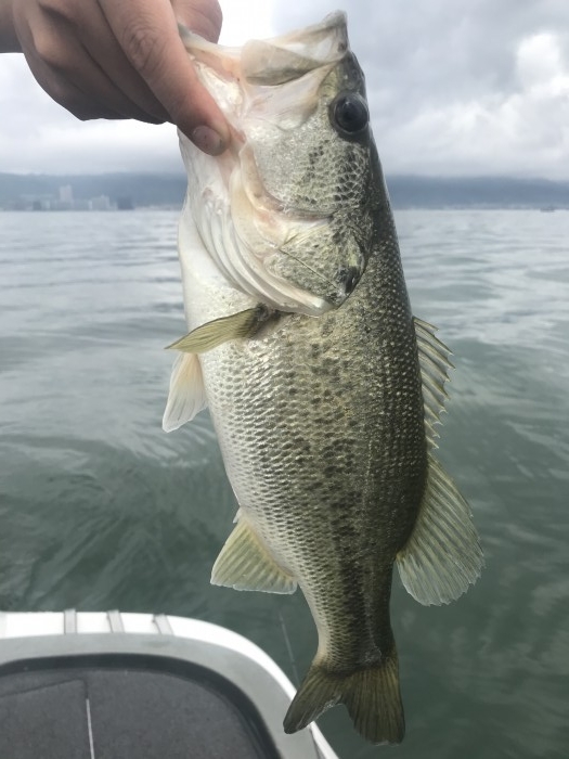 truth  ブログ写真 2020/05/18