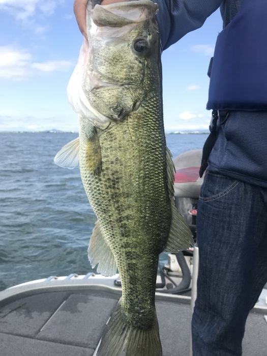 truth  ブログ写真 2020/05/18