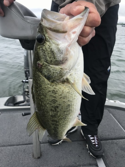 truth  ブログ写真 2020/05/20