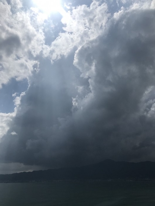 truth  ブログ写真 2020/05/20